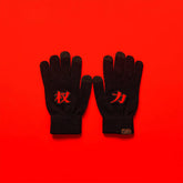 OSCILL Embroidered Knit Gloves