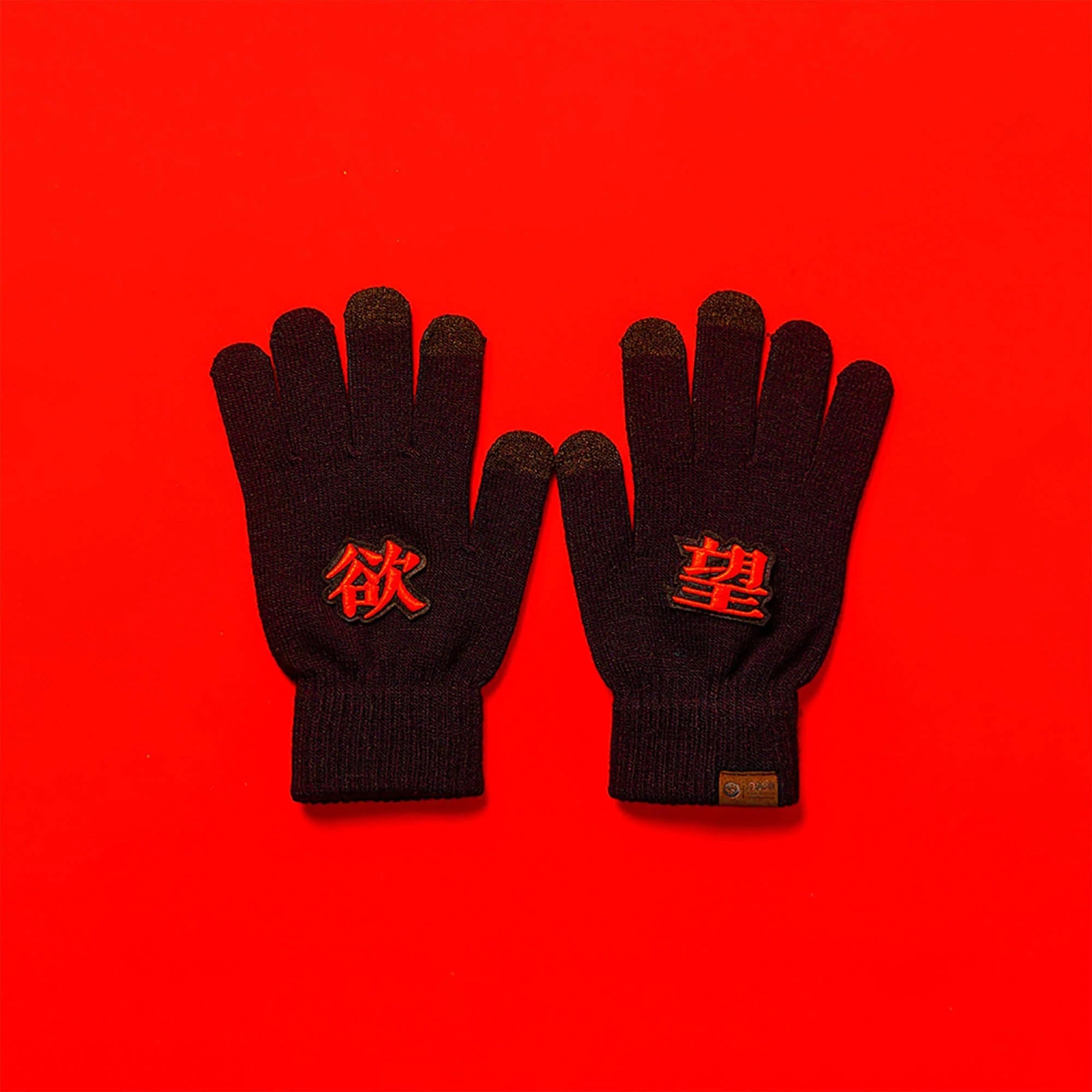 OSCILL Embroidered Knit Gloves