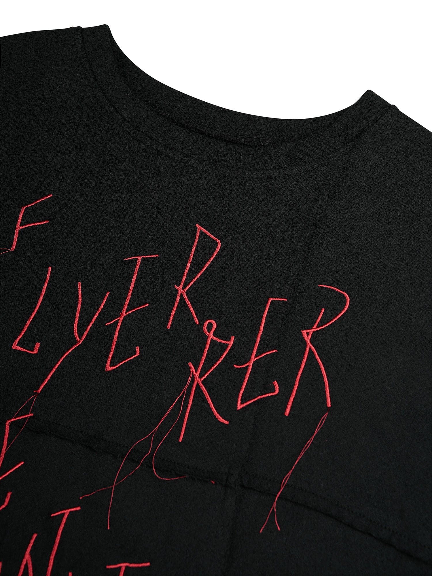 FLYERRER Cross-Panel Contrast Frayed Embroidered Long-Sleeve Tee