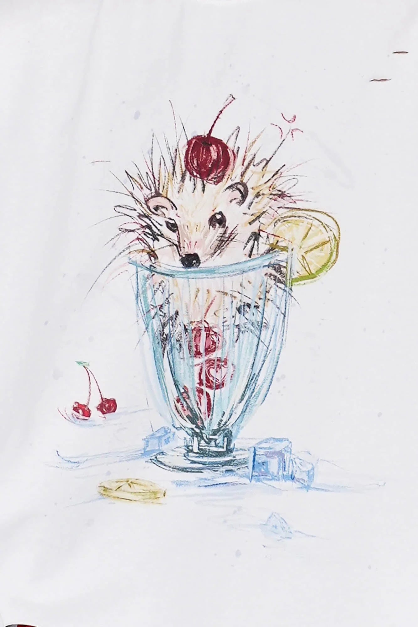OIPWORD Cherry Hedgehog Graphic T-Shirt
