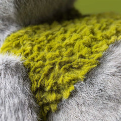 *NEW* Jellycat Rockleton (LIMIT 1)