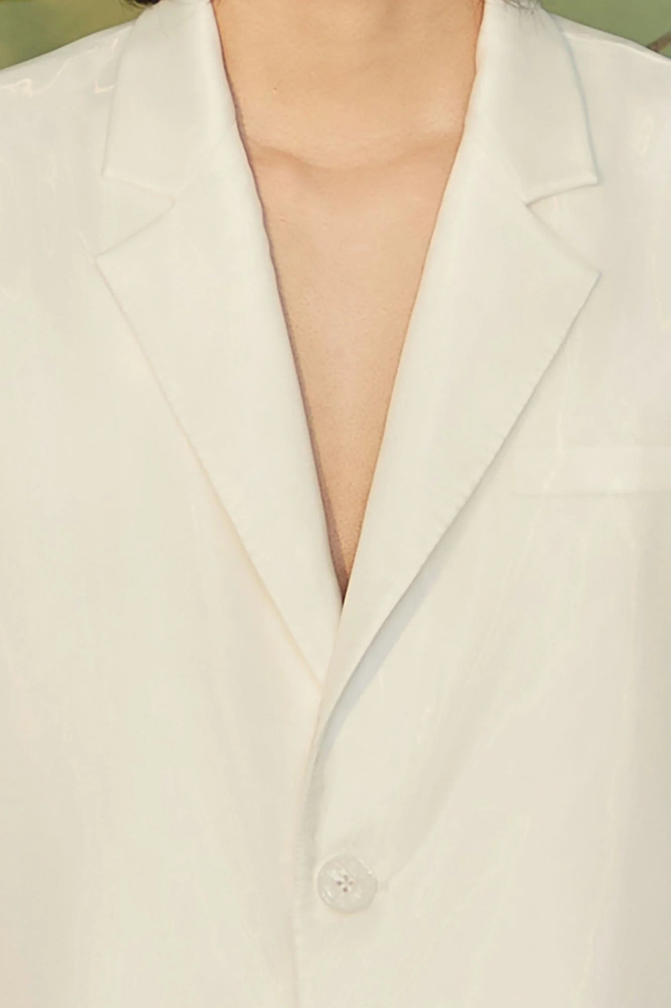 JIECHI Water-Ink Koi Embroidered Sheer Overlay Half Blazer