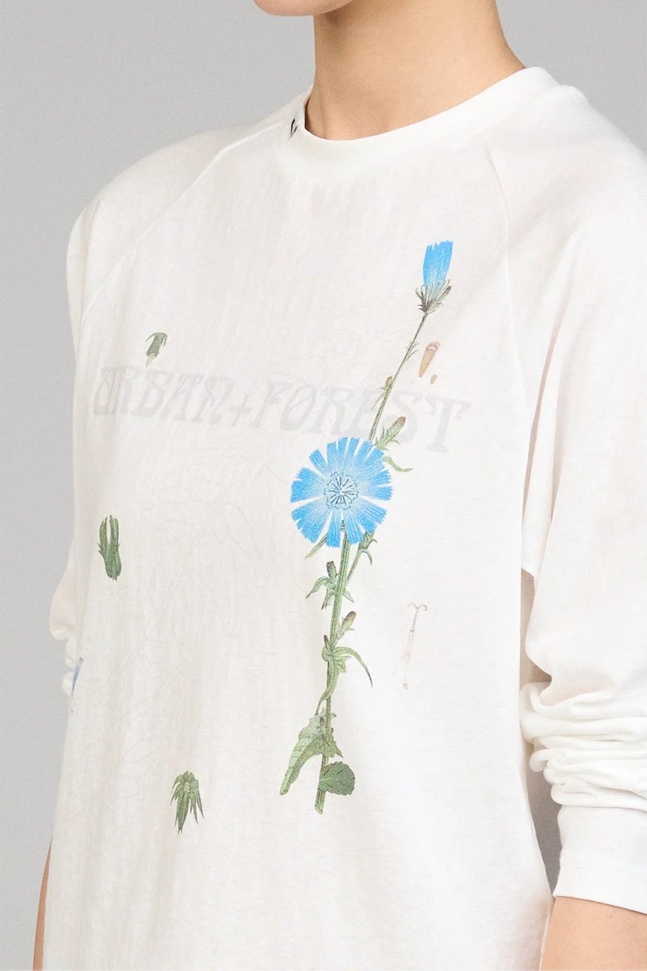 URBAN+FOREST Plant Atlas Raglan Long-Sleeve Tee