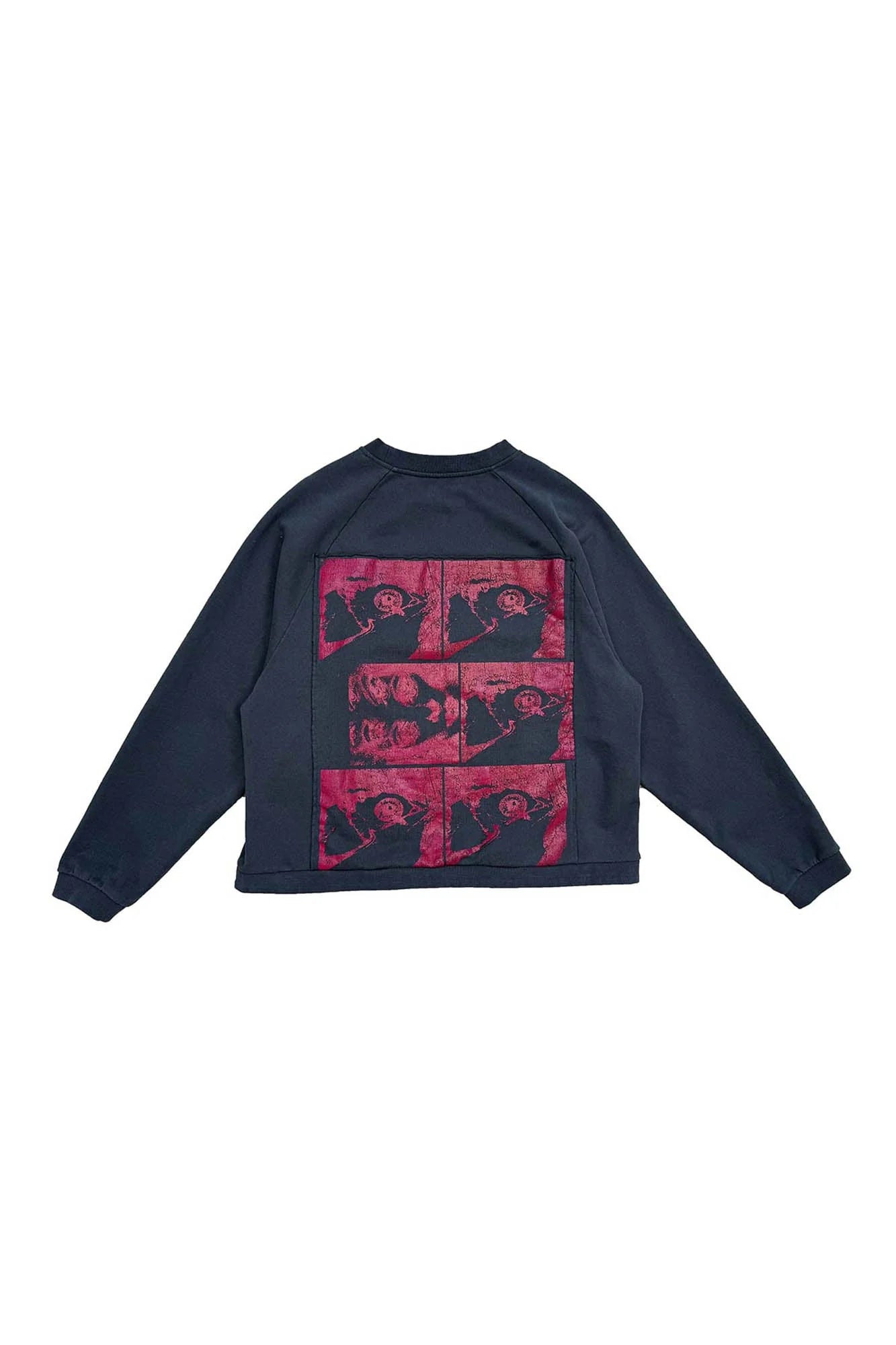 RICHILL Paneled Graphic Print Raglan Sweatshirt